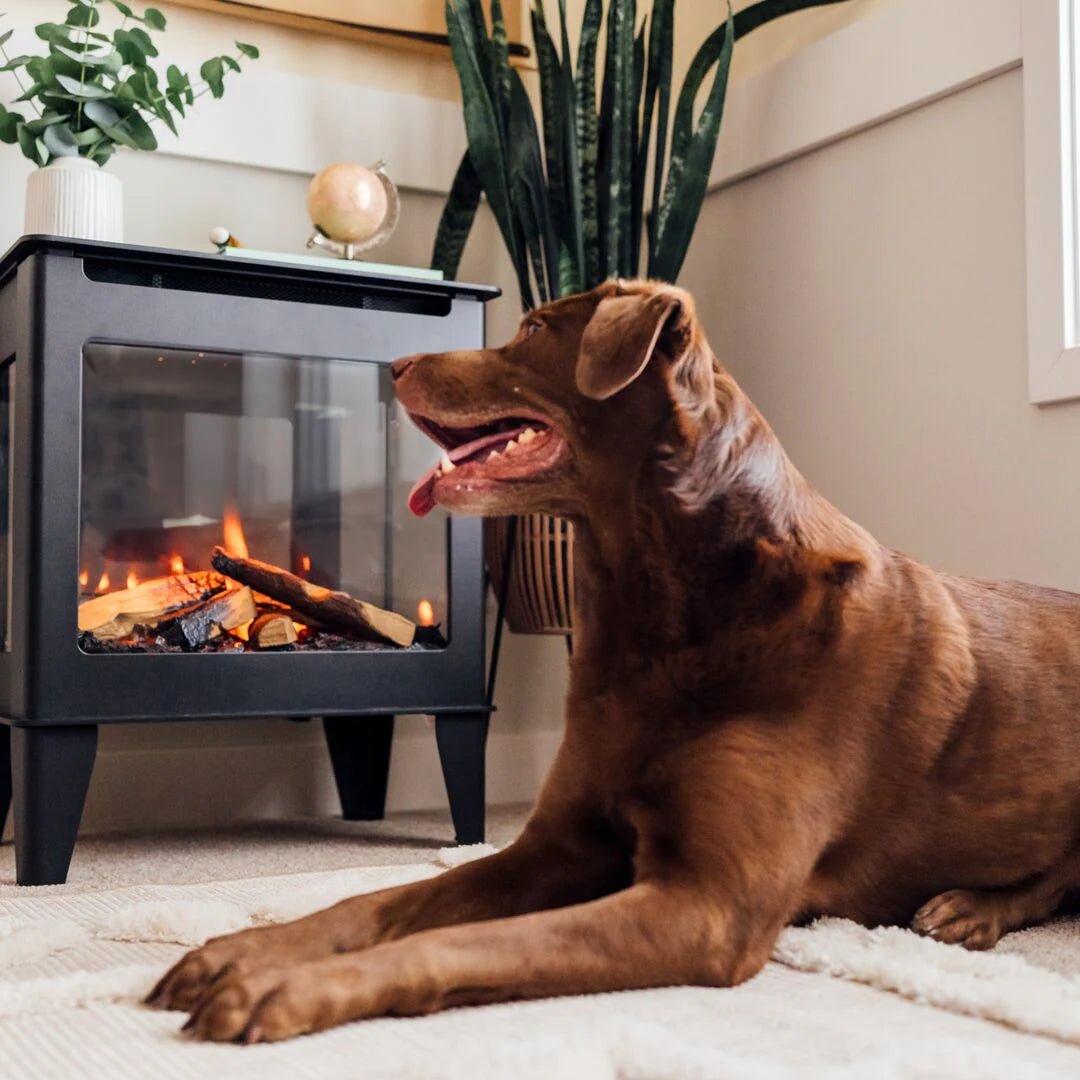 Forge & Flame FUZION - EX Electric Stove - Impressive Climate Control