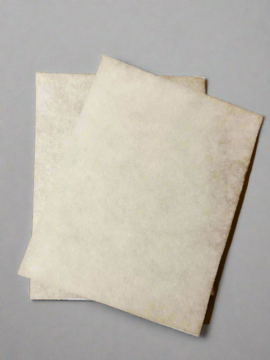 Lennox Healthy Climate 65 - 165R Foam Filter (2 - PACK) - Impressive Climate Control
