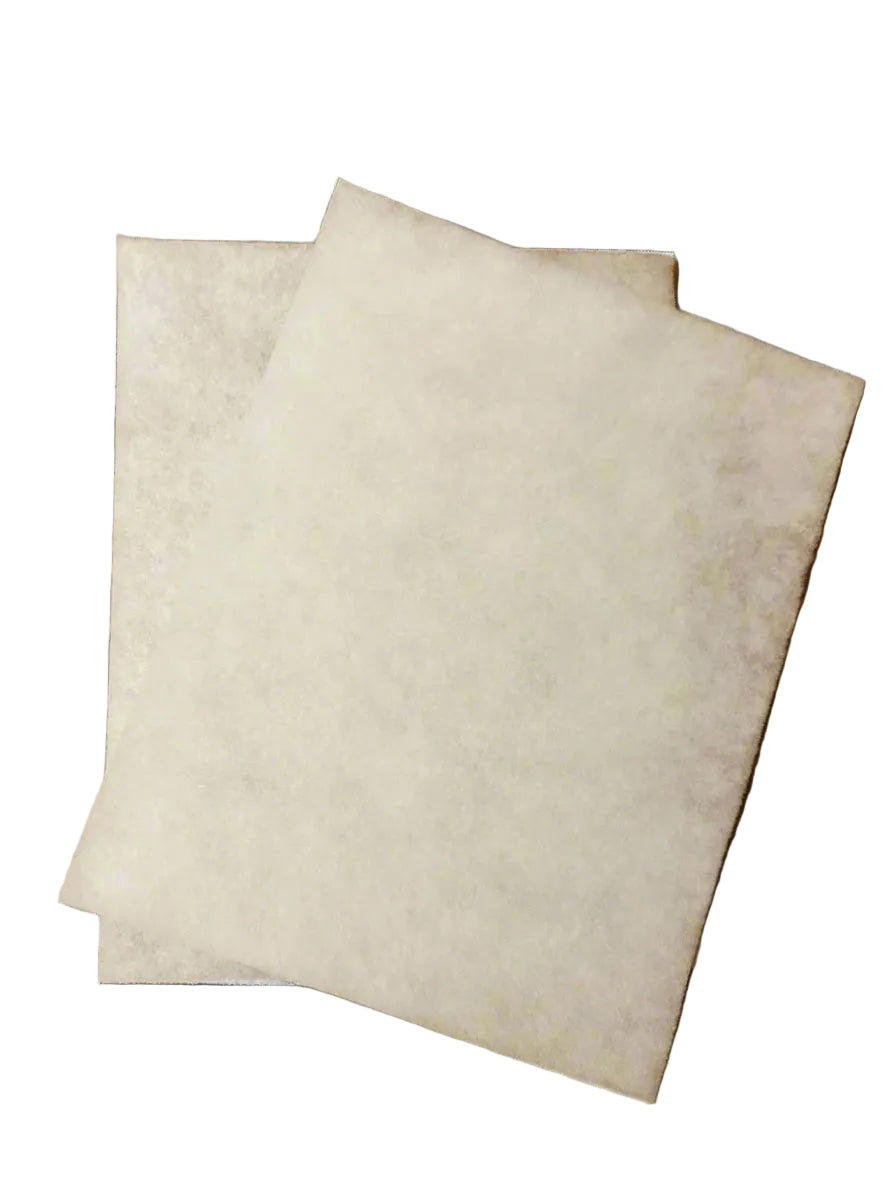 Lennox Healthy Climate 65 - 165R Foam Filter (2 - PACK) - Impressive Climate Control