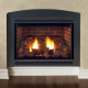 Cameo Direct Vent Gas Fireplace by Majestic Products