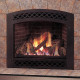 Lexington Direct Vent Gas Fireplace by Majestic Products