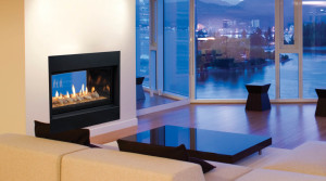 Echelon See-Thru Direct Vent Gas Fireplace by Majestic Products