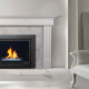 Capella Series. Direct Vent Gas Fireplace Insert by Marquis fireplaces