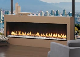 Montigo R620 Fireplace